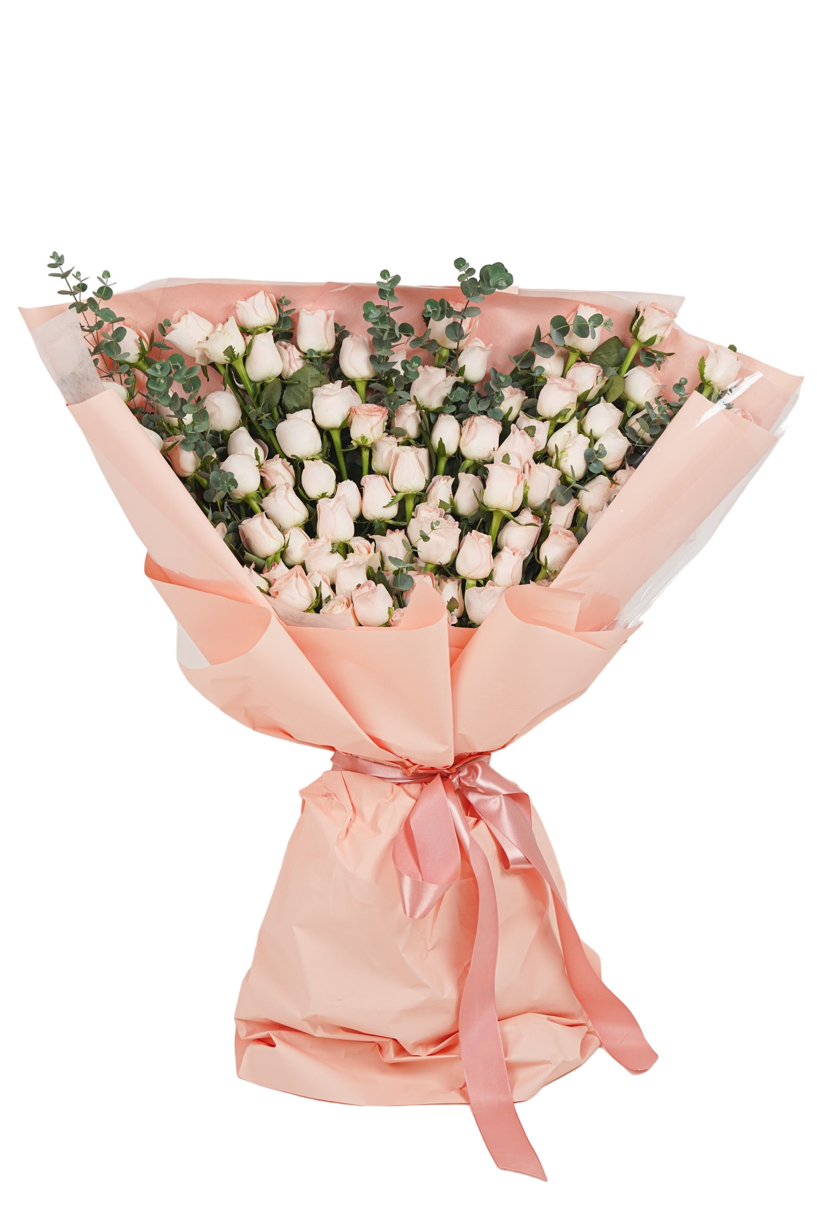 자이언트 핑크 로즈